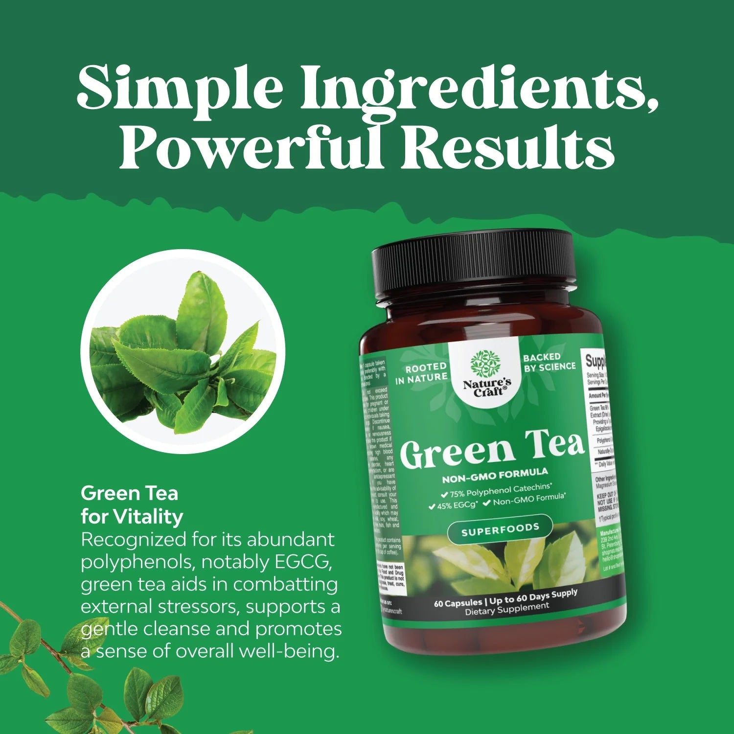 Green Tea Extract Capsules - Pure Extract - Metabolism Support - for Men and Women Natural Detox Cleanse